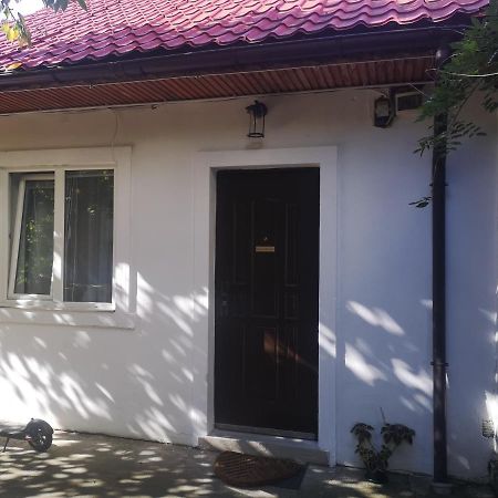 Casa Miron Unirii 3Strada Matei Corvin Apartament Timișoara Zewnętrze zdjęcie